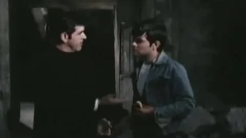 El regreso de los perros callejeros (1980)