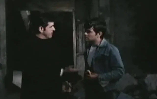 El regreso de los perros callejeros (1980)