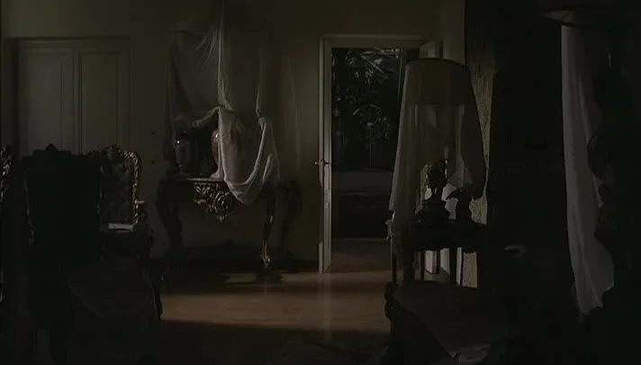 Il gatto (1977)