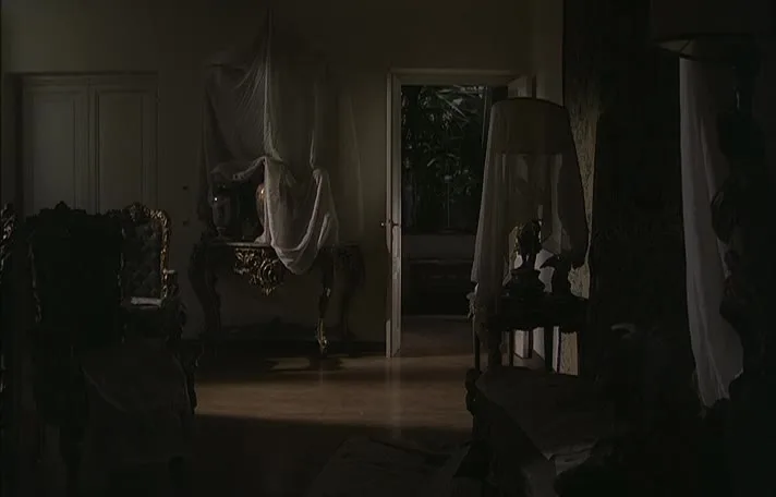 Il gatto (1977)