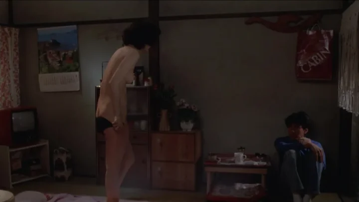 Pinku no kaaten (1982)