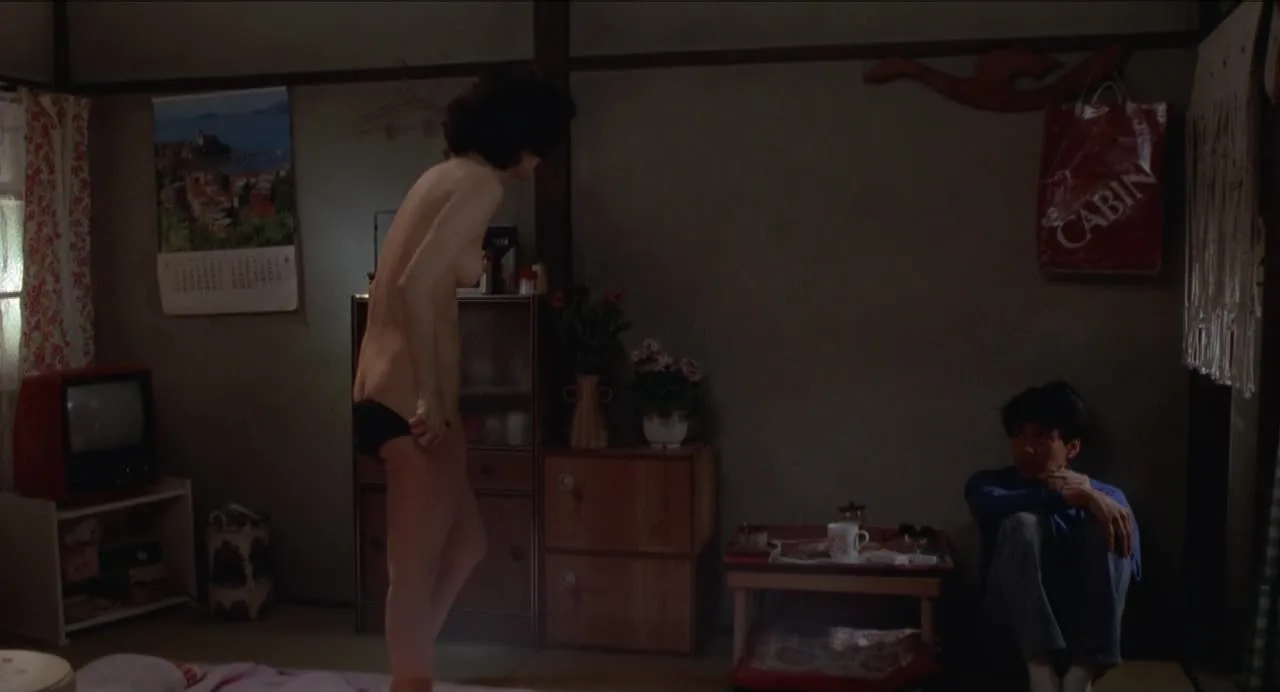 Pinku no kaaten (1982)