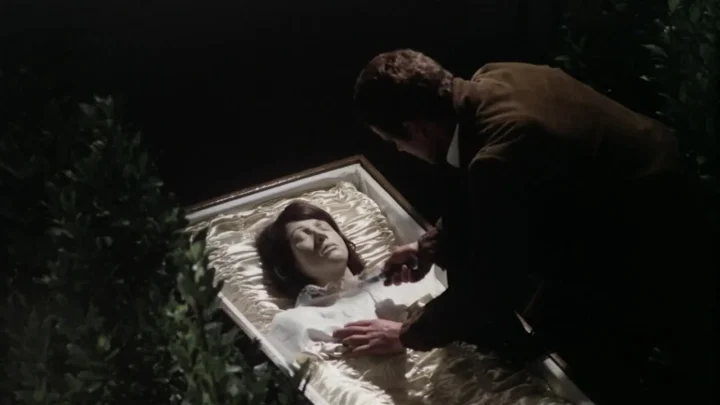 Mosquito the Rapist (1977)