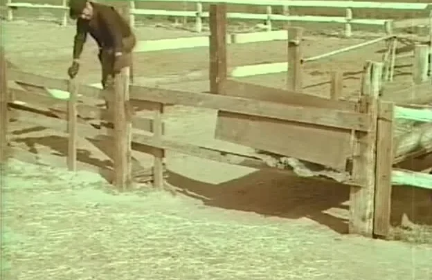 Brand of Shame (1968)