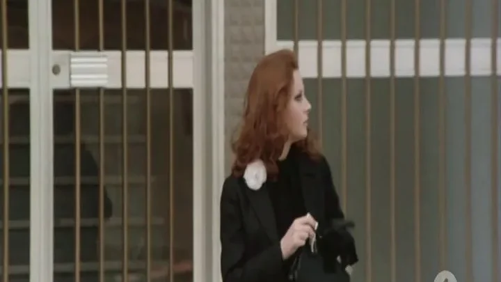 Il vizio ha le calze nere (1975)
