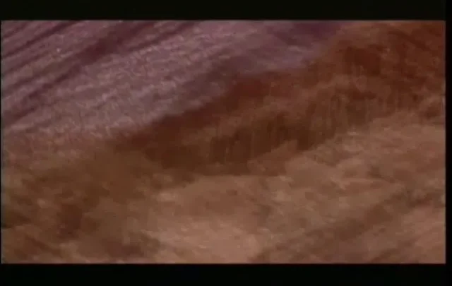 Savage Heat (1994)