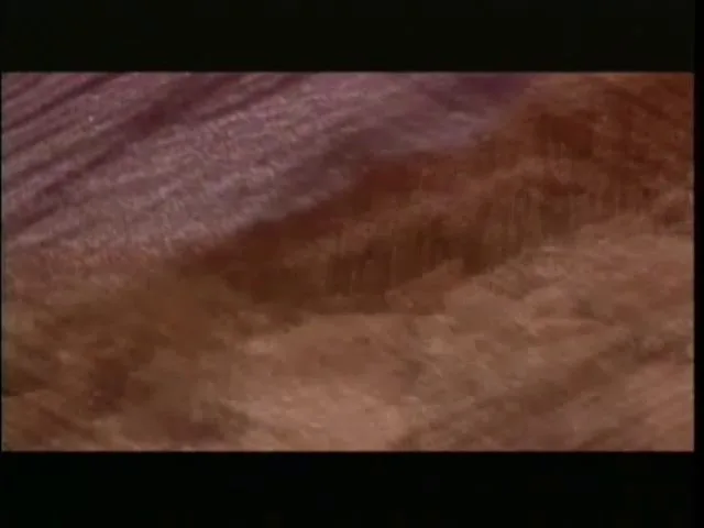 Savage Heat (1994)