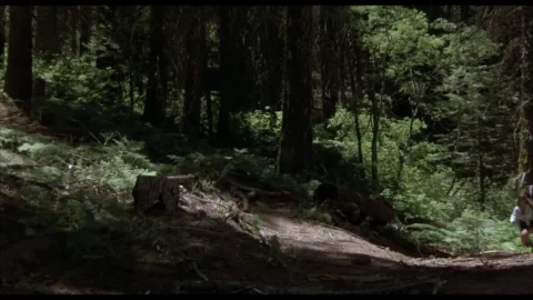 Blood Games (1990)