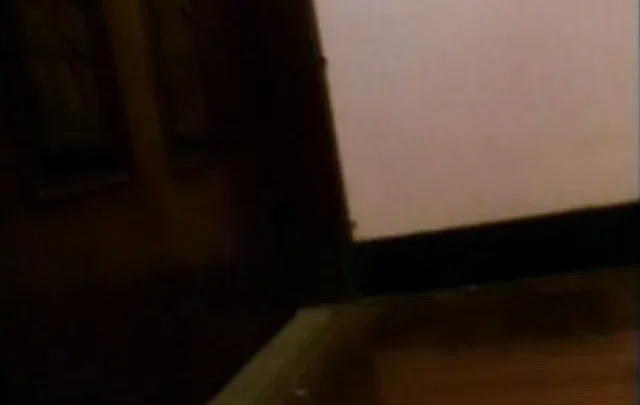 Ching laan chi chai (1993)