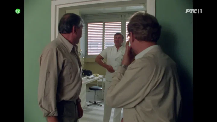 Zikina dinastija (1985)