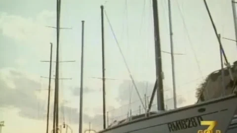 Errore fatale (1988)