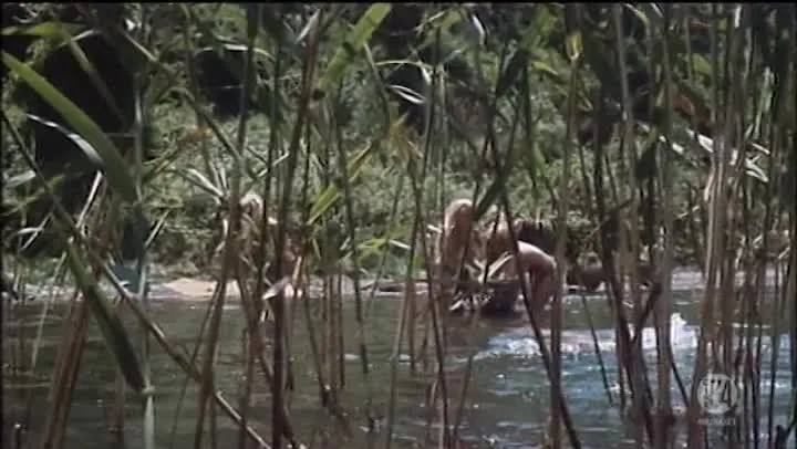 Quando gli uomini armarono la clava e… con le donne fecero din-don (1971)