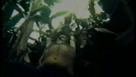 Bacanais na Ilha das Ninfetas (1982)