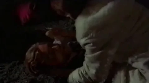 La gatta in calore (1972)