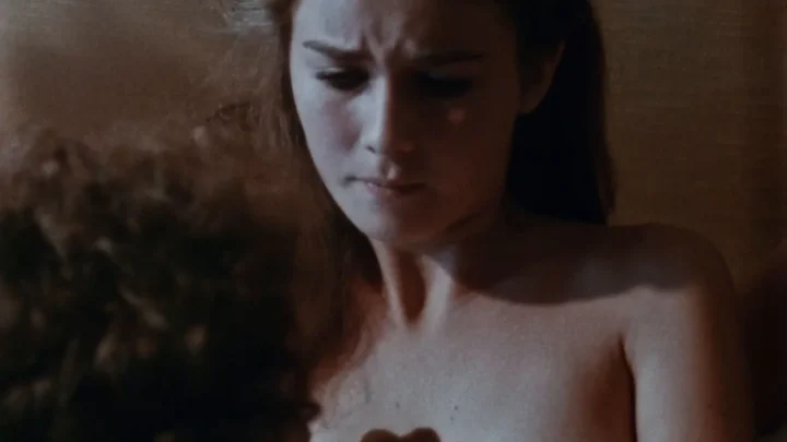 Sinfonía erótica (1980)