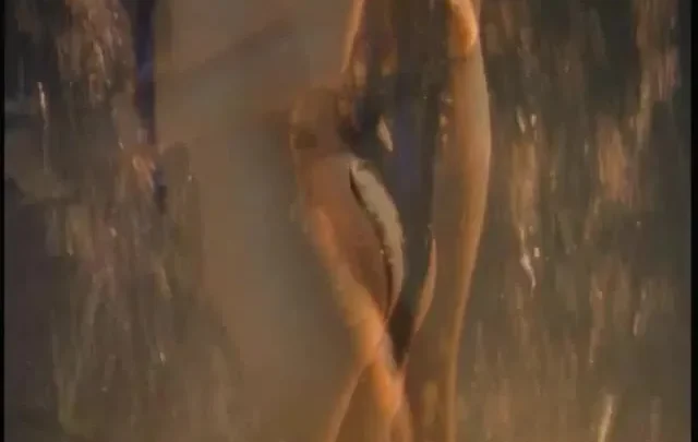 Playboy: Asian Exotica (1998)
