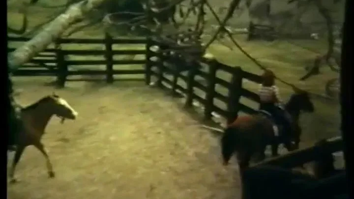 O Inicio do Sexo (1983)