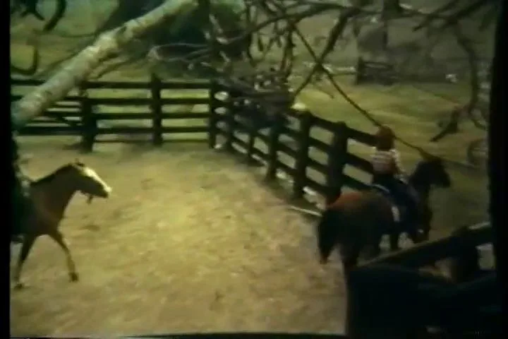 O Inicio do Sexo (1983)