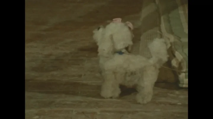 The Sinful Dwarf (1973) (FullHDRip)