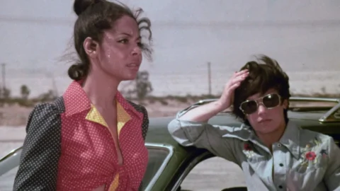 Girls for Rent (1974)