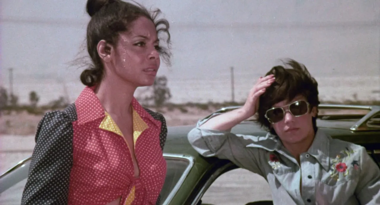 Girls for Rent (1974)