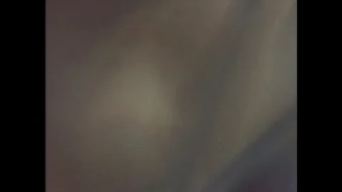 XX: Utsukushiki karyuudo (1994)