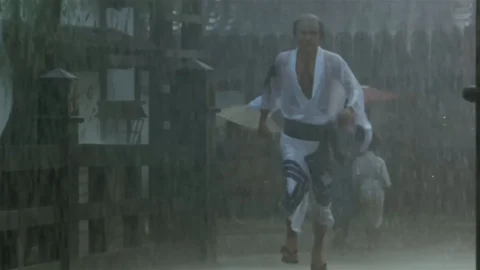 Hokusai manga (1981)