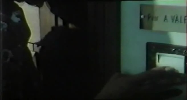 Il fiore dai petali dacciaio (1973)