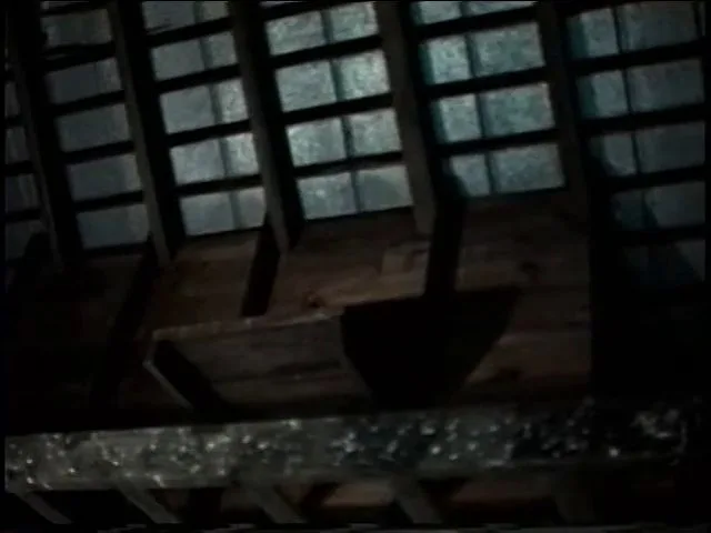 Rage of the Incubus (2004)