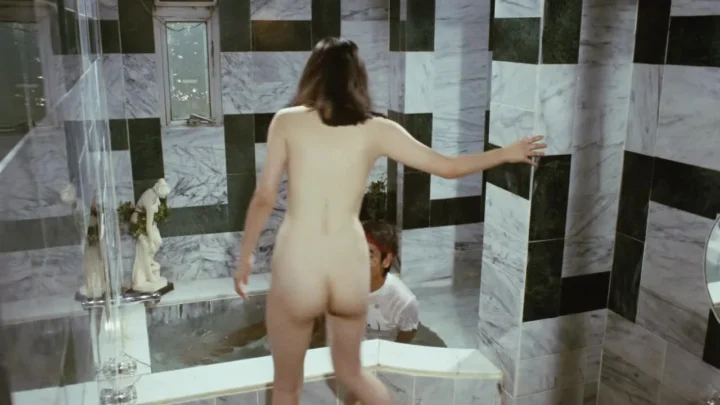 Jokosei Nise Nikki (1981)