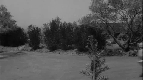 Day of the Nightmare (1965)