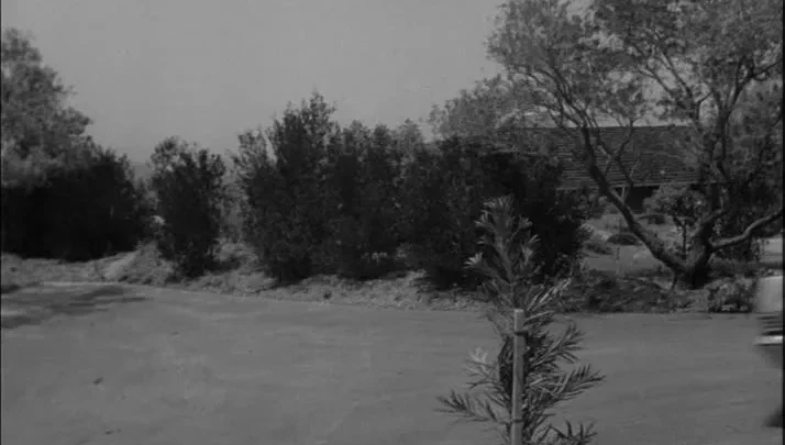 Day of the Nightmare (1965)