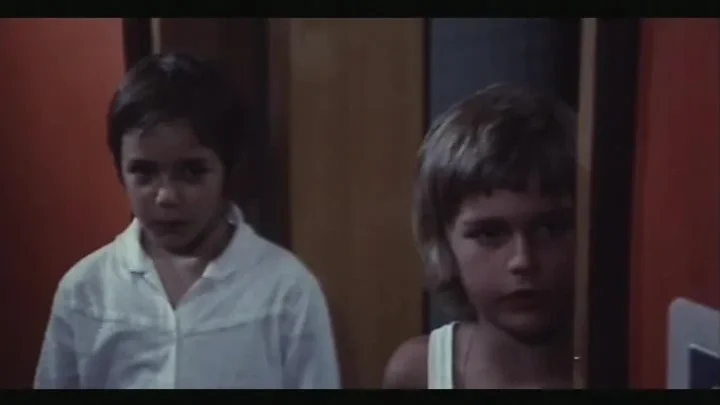 Bruna, formosa, cerca superdotato (1973)