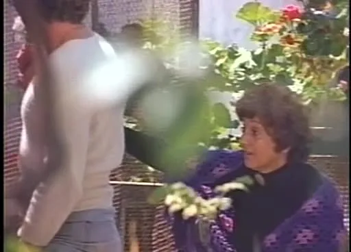 Fantasies (1981)