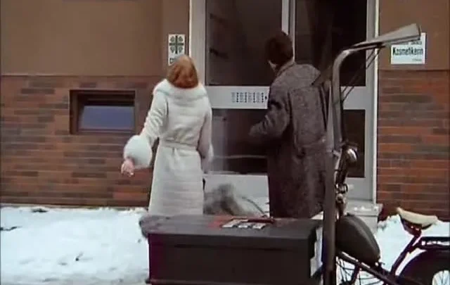 Gestatten, Vogelein im Dienst (1971)