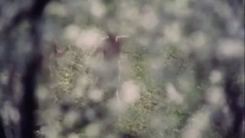 Grimms Märchen von lüsternen Pärchen (1969) (Better Quality)