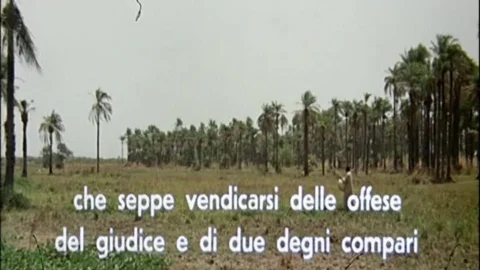Africa Erotica (1972)