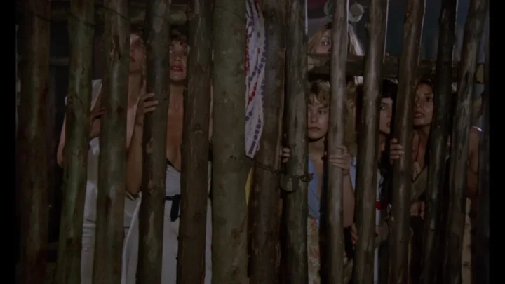 Curral de Mulheres (1982) (FullHDRip)