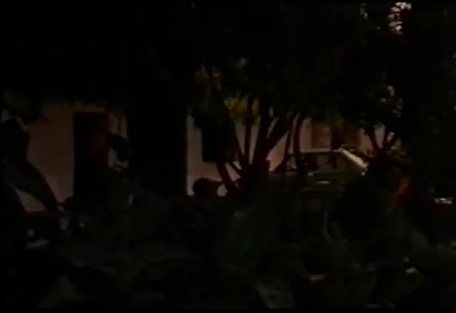 La dottoressa di campagna (1981)