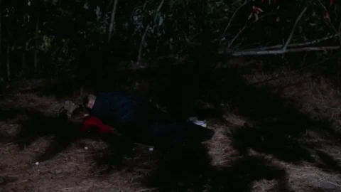 Evils of the Night (1985)