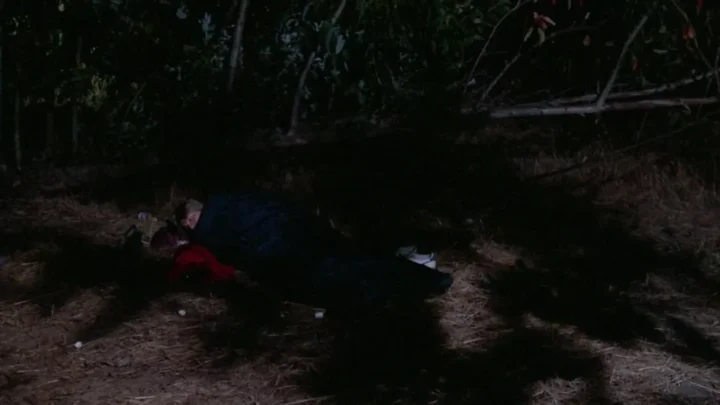 Evils of the Night (1985)