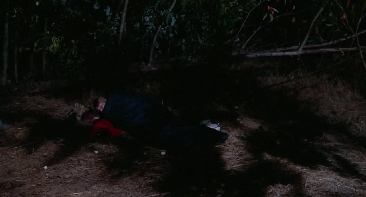 Evils of the Night (1985)