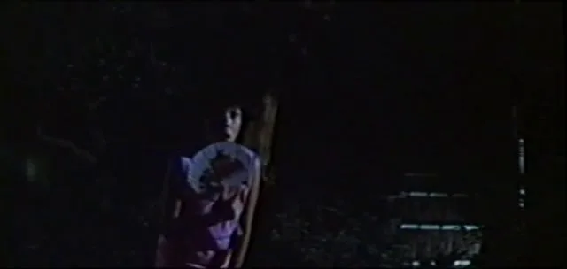 Chikan densha: Oku made tsumete (1981)