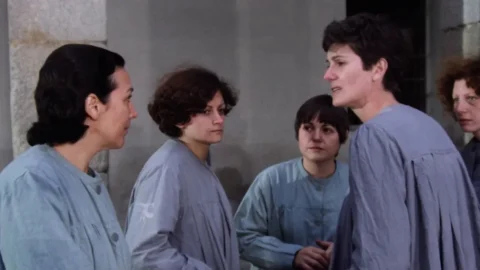 Carne apaleada (1978) (FullHDRip)