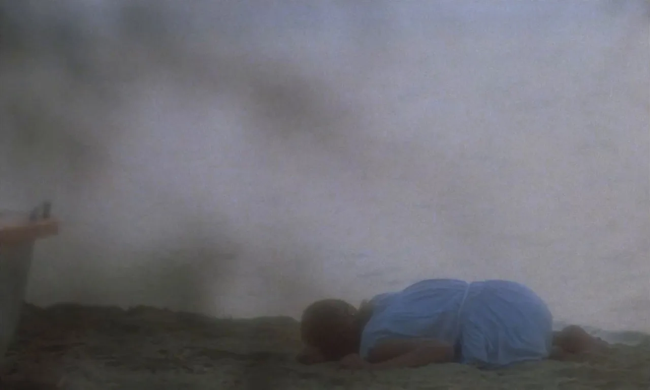 Laura, les ombres de l’été (1979) (FullHDRip)