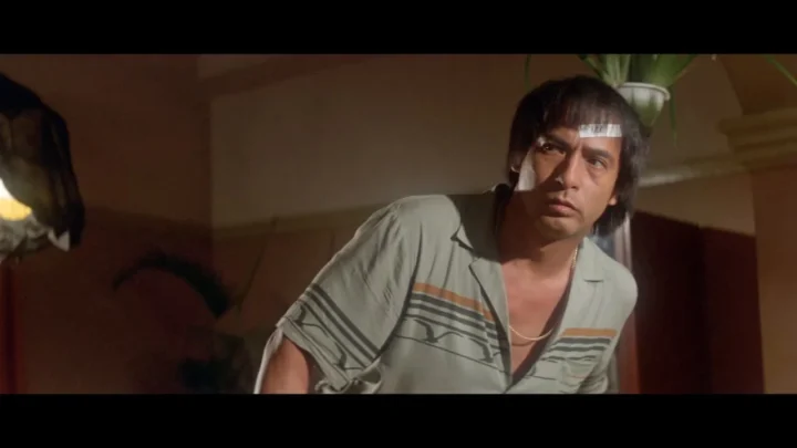 Che dau che (1980)