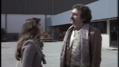 El vuelo de la cigüeña (1977)