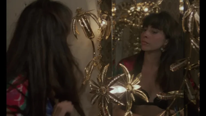 Se lo scopre Gargiulo (1988)