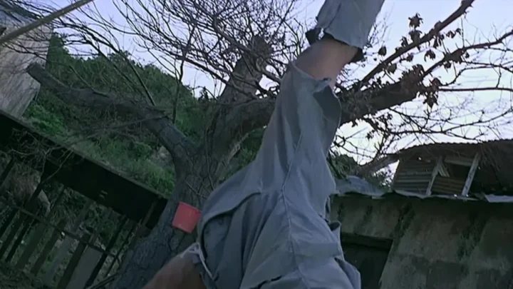 Lost Souls (1980) (WEBRip)