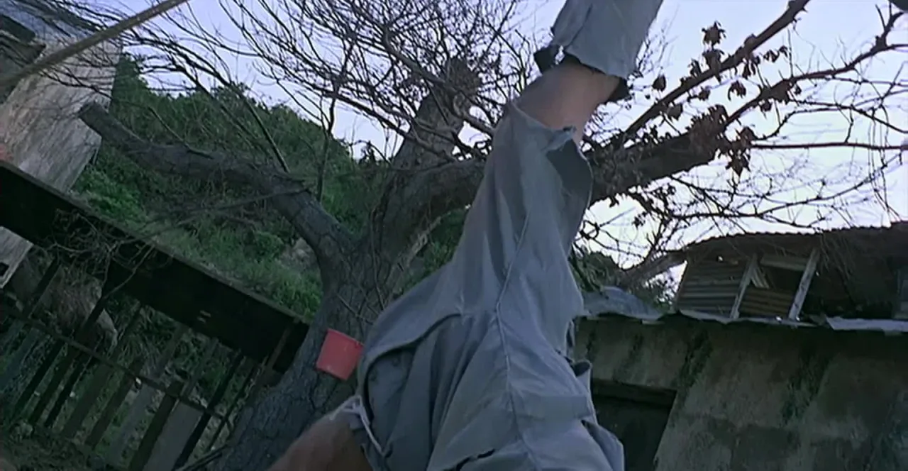 Lost Souls (1980) (WEBRip)